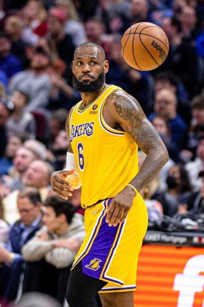 LeBron James Portrait